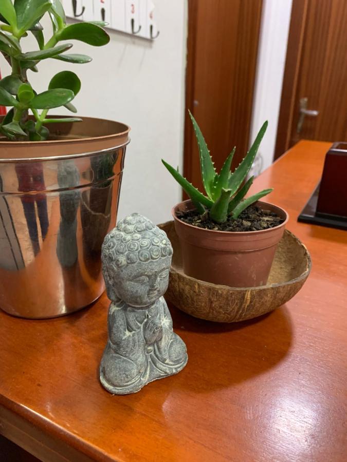 Guest House De Rada 地拉那 外观 照片